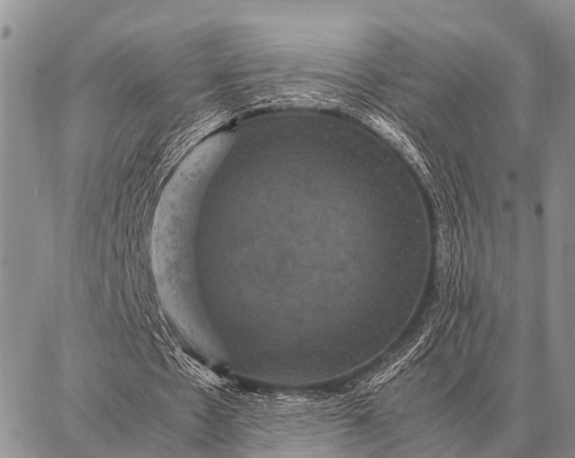 X0000087710481200705181848