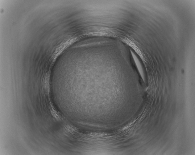 X0000087710482200705181848