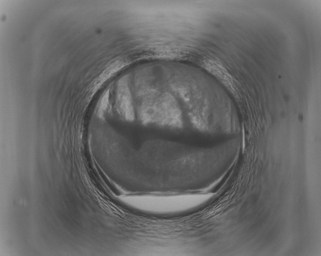 X0000087710483200705181848