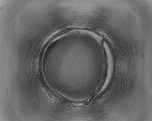 X0000087710484200705181848