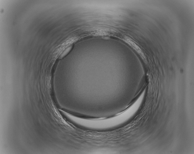X0000087710485200705181848