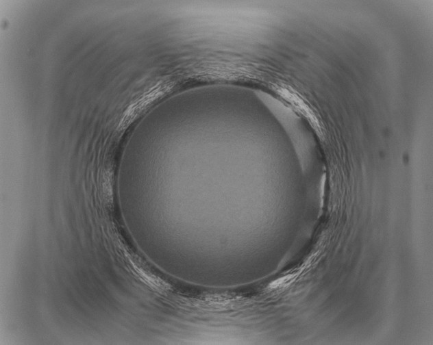 X0000087710489200705181848