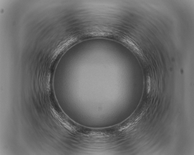X0000087710490200705181848