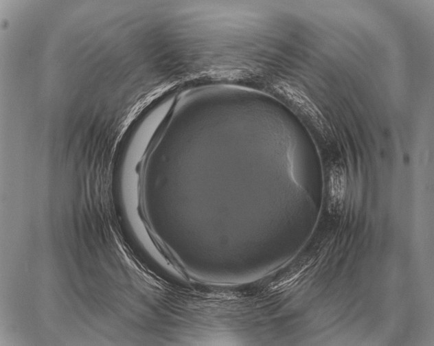 X0000087710492200705181848