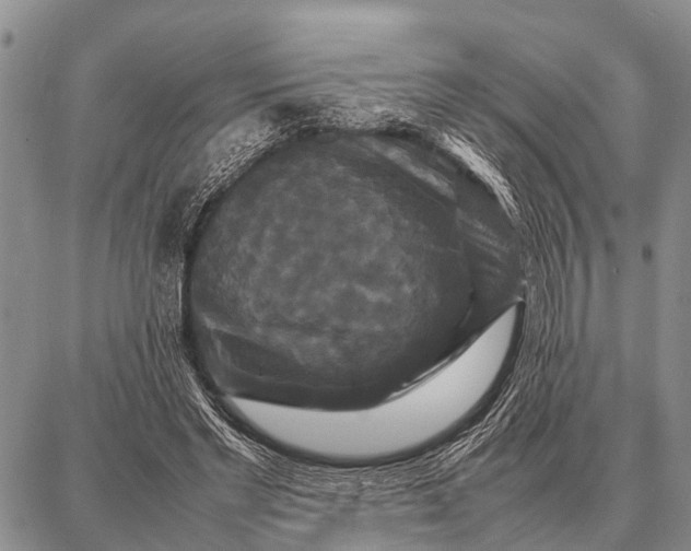 X0000087710493200705181848