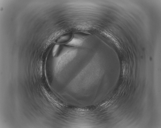 X0000087710494200705181848