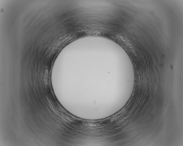 X0000087710498200705181848