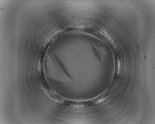 X0000087710500200705181848