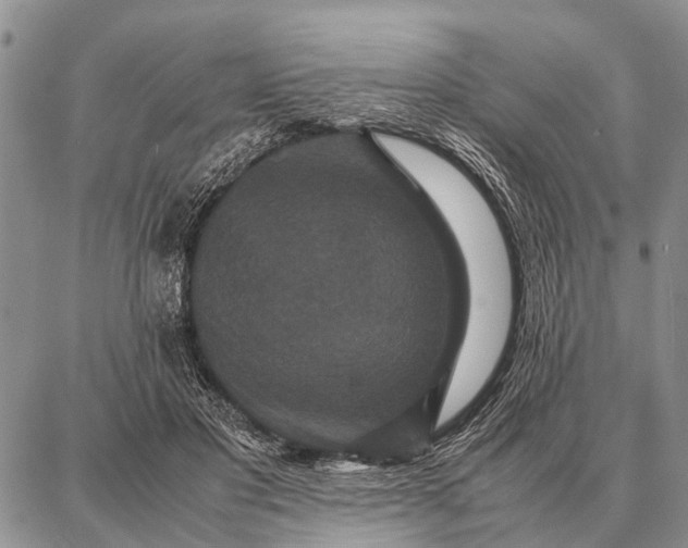 X0000087710501200705181848