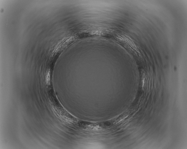 X0000087710502200705181848