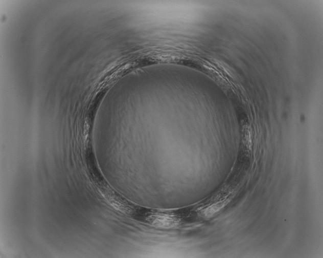 X0000087710507200705181848