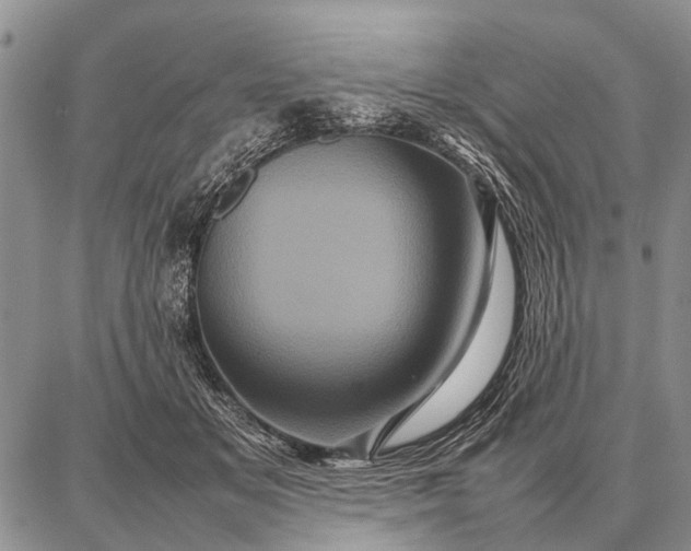 X0000087710509200705181848
