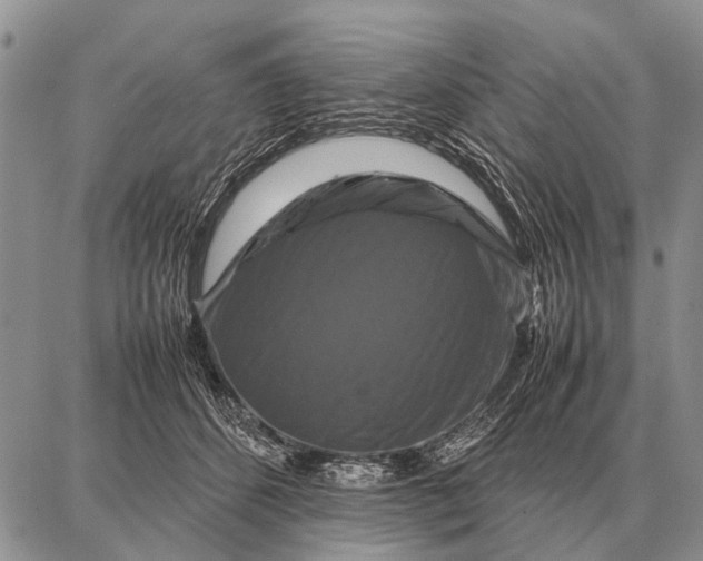 X0000087710512200705181848