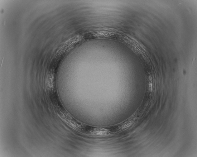 X0000087710514200705181848