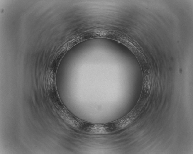 X0000087710518200705181848