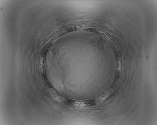 X0000087710519200705181848