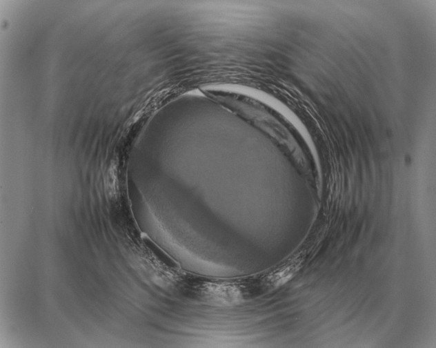 X0000087710520200705181848