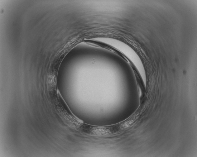 X0000087710521200705181848