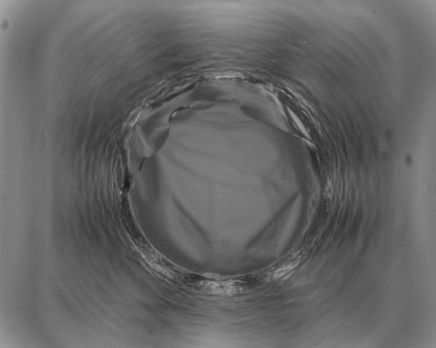 X0000087710524200705181848