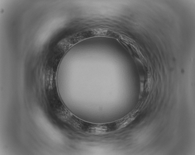 X0000087710525200705181848