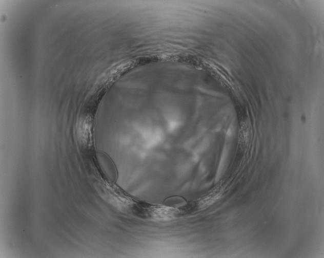 X0000087710527200705181848