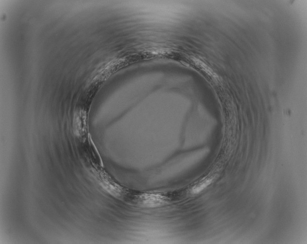 X0000087710528200705181848