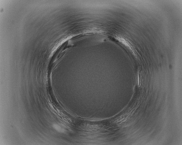 X0000087710531200705181847