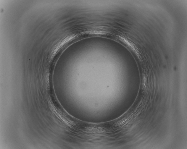 X0000087710535200705181847