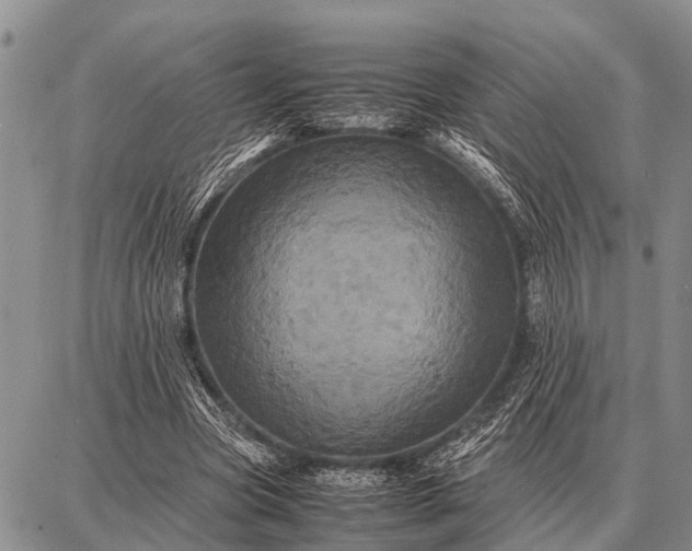 X0000087710537200705181847