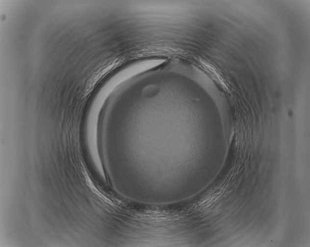 X0000087710538200705181847