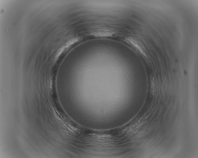 X0000087710539200705181847
