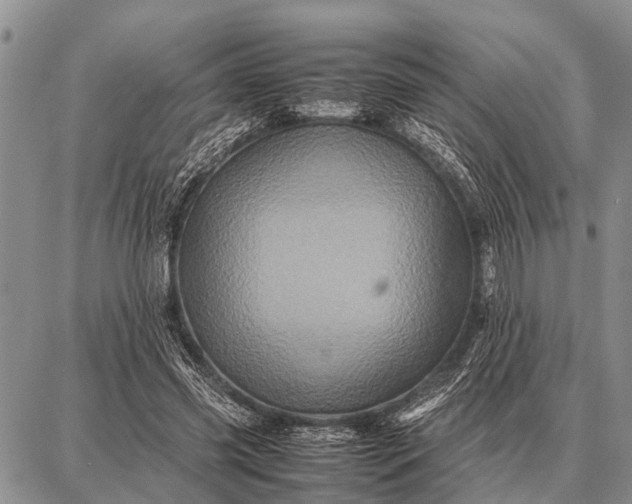 X0000087710541200705181847