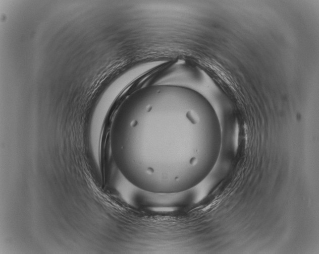 X0000087710546200705181847