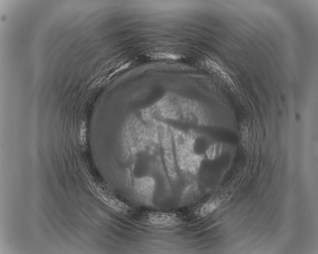 X0000087710549200705181847