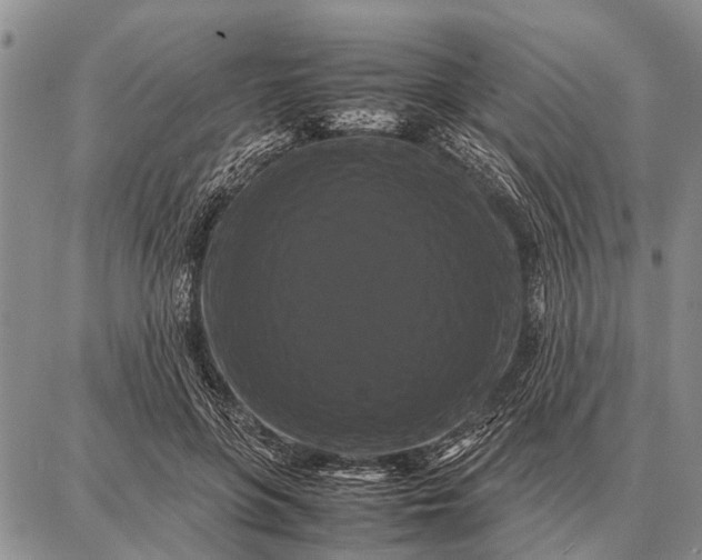 X0000087710551200705181847