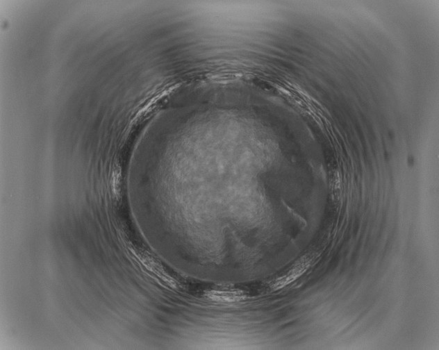 X0000087710556200705181847