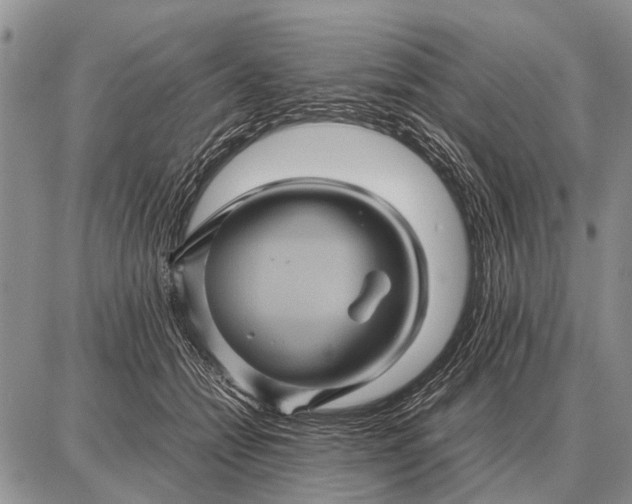 X0000087710558200705181847
