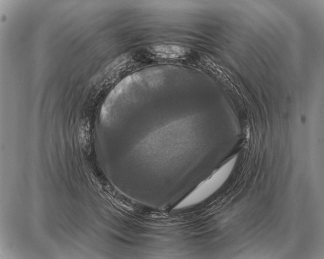 X0000087710559200705181847