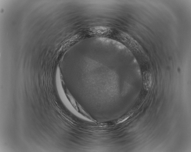 X0000087710563200705181847