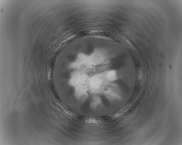 X0000087710565200705181847