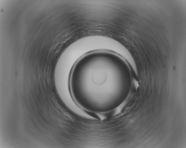 X0000087710566200705181847