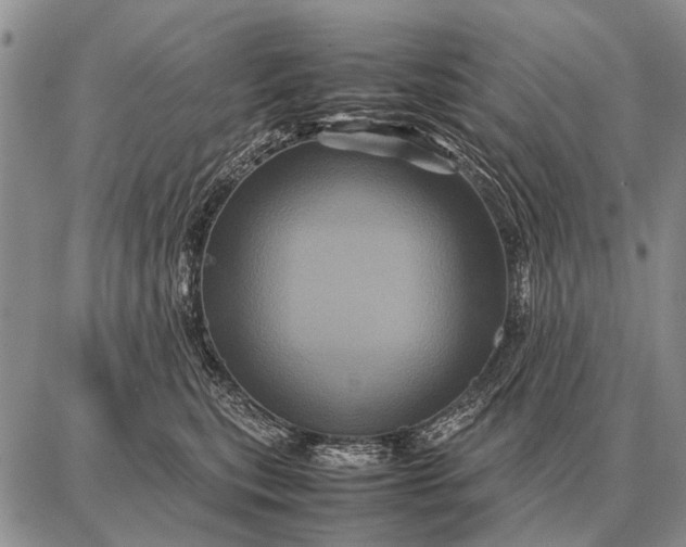 X0000087710567200705181847