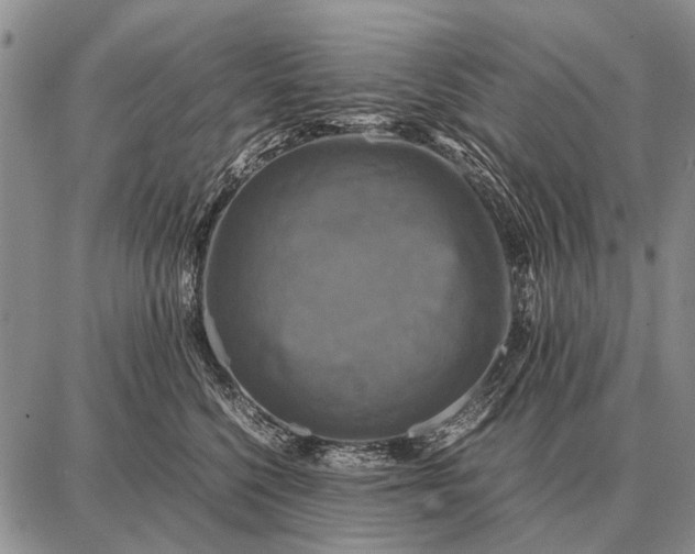 X0000087710568200705181847