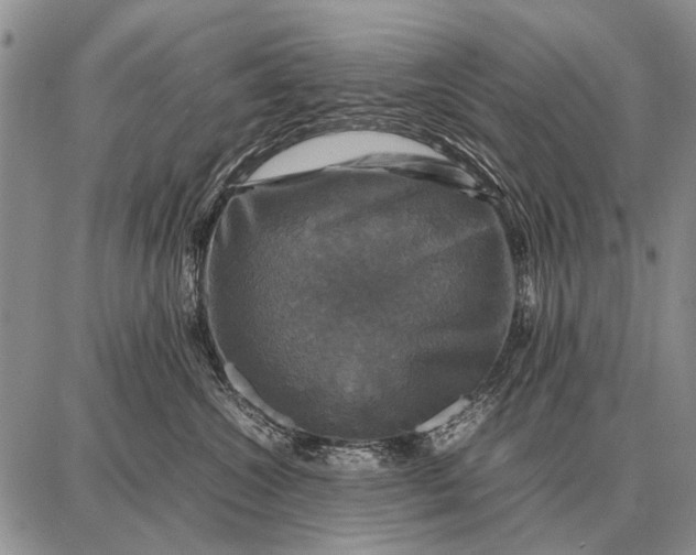X0000087710572200705181847