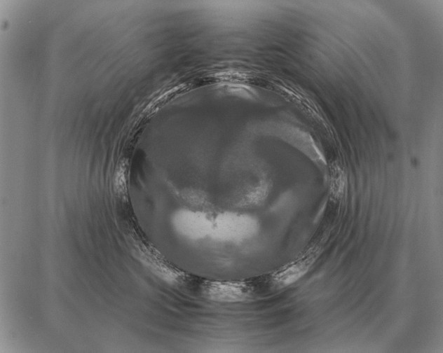X0000087710573200705181847