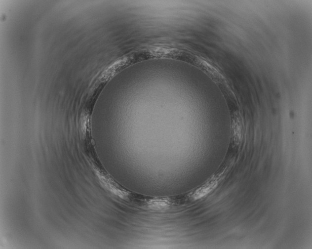 X0000087710574200705181848