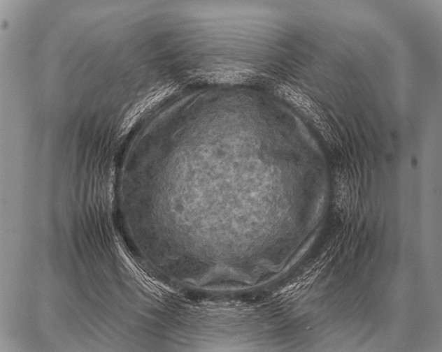 X0000087710586200705181847