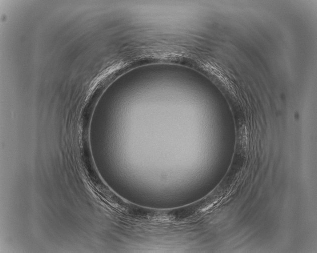 X0000087710587200705181847