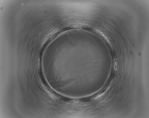 X0000087710589200705181847