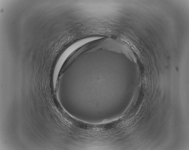 X0000087710593200705181846
